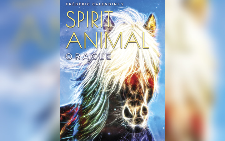 Enter a Journey of Self-Discovery and Awareness with the Spirit Animal Oracle